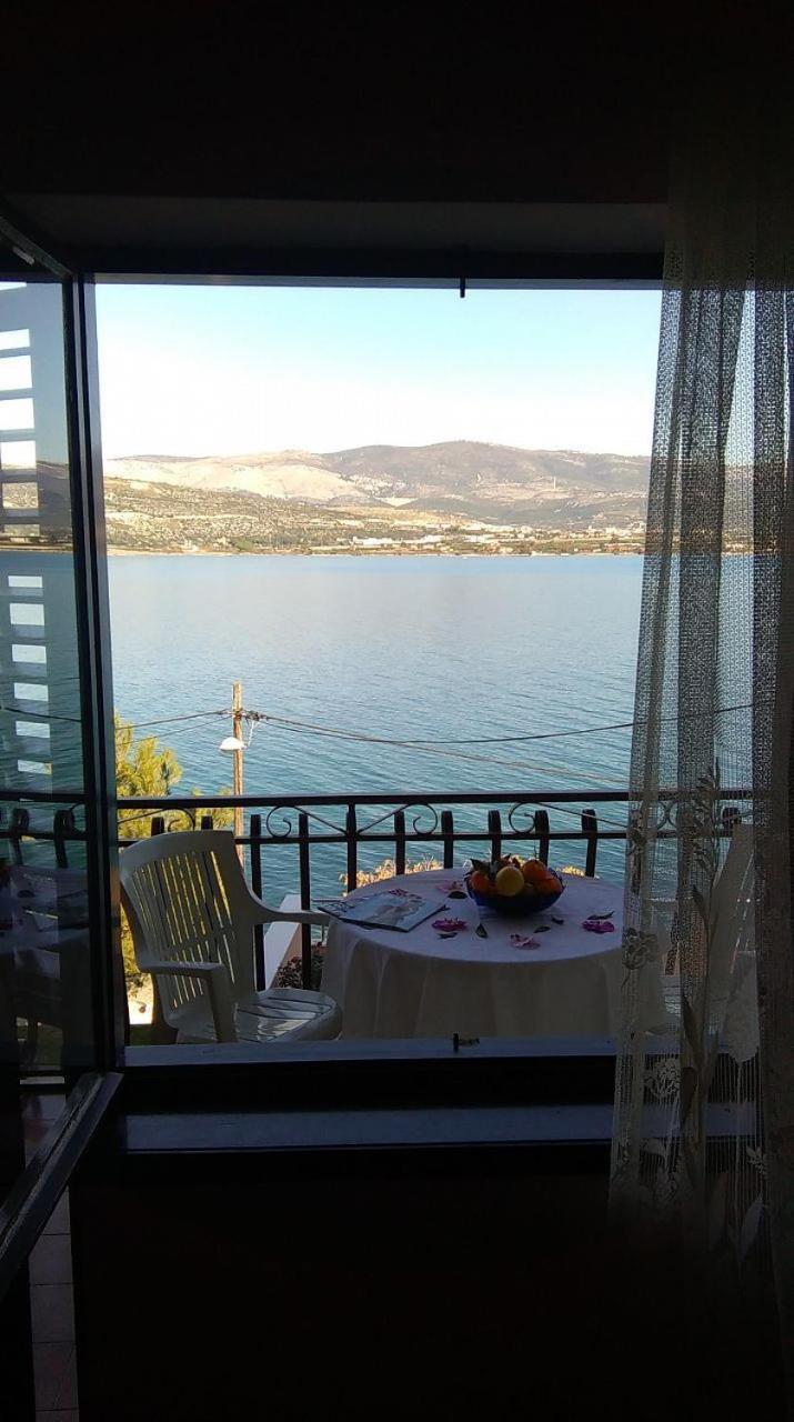 Apartments Vini Trogir Dış mekan fotoğraf